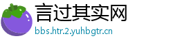 言过其实网